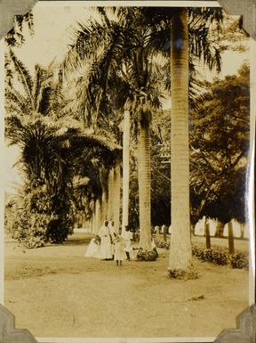 Indian Women - Royal Palms, 1928