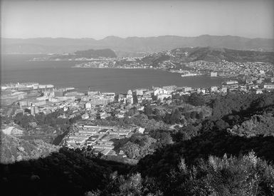 View of Wellington from Tinakori Hill