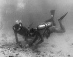 Walter H. Munk and Robert B. Livingston review the sandy ocean bottom of the Vava'u Islands, Tonga