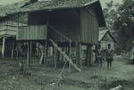 Ok Tedi house, see outside influence, Kiunga patrol, [Papua New Guinea], 1952