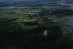 Aerial view of Balimo, 1960?
