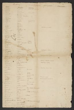 Manuscripts on the Marquesas Islands