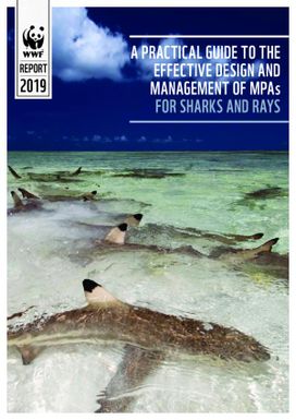 A practical guide to the effective design and management of MPAs for sharks and rays.