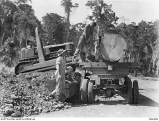 LAE, NEW GUINEA. 1944-12-21. CAPTAIN G W BROWN, (1), AND LANCE CORPORAL T A YOULTEN, (2), 2/3 FORESTRY COY ALONGSIDE A LOG LOADED BY BULLDOZER ONTO A TRUCK AT THE UNTHANK MILL