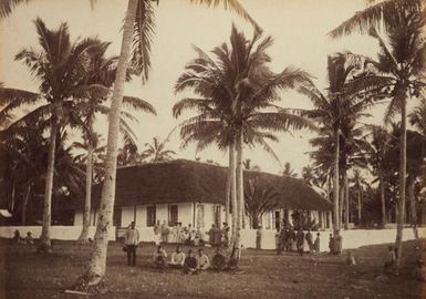 Bush Niue. From the album: Views in the Pacific Islands