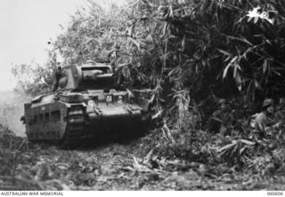 SATTELBERG AREA, NEW GUINEA. 1943-11-17. TROOPS OF THE 2/48TH AUSTRALIAN INFANTRY BATTALION MOVING THROUGH THICK TROPICAL UNDERGROWTH BEHIND AN ADVANCING TANK OF THE 1ST AUSTRALIAN ARMY TANK ..