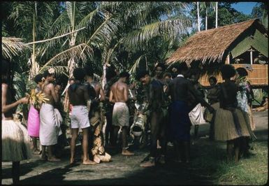 Gathering of the villagers : Fergusson Island, D'Entrecasteaux Islands, Papua New Guinea, 1956-1958 / Terence and Margaret Spencer