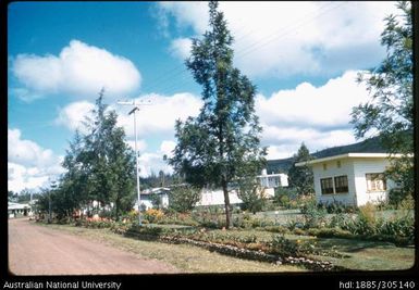 Houses on a street in Goroka