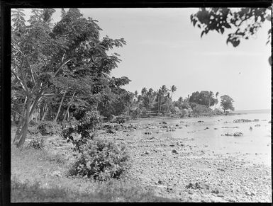 View of a rocky beach with a village beyond amongst palm trees, Apia, Western Samoa