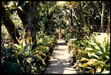 Hotel at Korolevu Bay?, Fiji, 1971