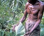 Man displaying back of an unidentified taro leaf.