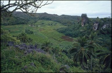 Landscape, Mangaia