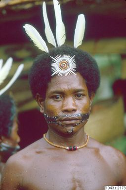 ["porträtt, fotografi, photograph"]