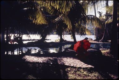 Resort in Fiji, 1974