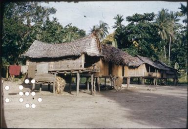 Coastal villages between Fai'ava and Mataita (2) : Goodenough Island, D'Entrecasteaux Islands, Papua New Guinea, 1956-1958 / Terence and Margaret Spencer