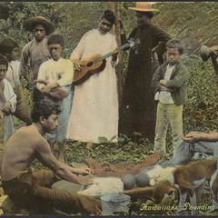 Hula dancers and musicians