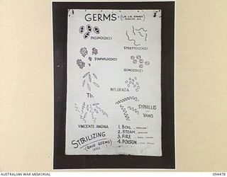 LAE AREA, NEW GUINEA, 1945-08-03. A "PIDGIN" ENGLISH CHART USED FOR THE INSTRUCTION OF NATIVE REGIMENTAL AID POST ORDERLIES. THE PHOTOGRAPH WAS MADE AT THE REQUEST OF HEADQUARTERS AUSTRALIAN NEW ..