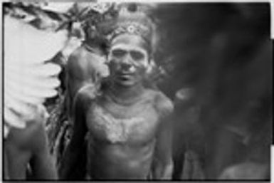 Pig festival, singsing, Kwiop: decorated man with feather headdress and painted body