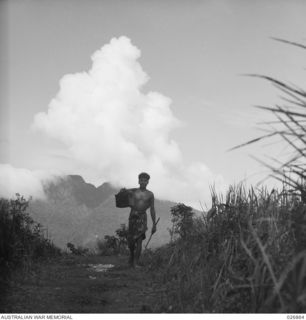 PAPUA, NEW GUINEA. 1942-10. A NATIVE CARRIER REACHES THE TOP OF THE RIDGE WITH HIS LOAD AFTER A LONG AND ARDUOUS CLIMB