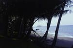 East coast of Bougainville, Jun 1963