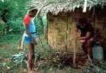 Removing Kava Plant, Waileni 1 of 3