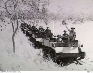 NEW GUINEA, 1942-08. BREN GUN CARRIERS OF THE 39TH INFANTRY BATTALION, AUSTRALIAN MILITARY FORCES, HALTED DURING MANOEUVRES IN THE LONG KUNAI GRASS WITH WHICH THE JUNGLE ABOUNDS