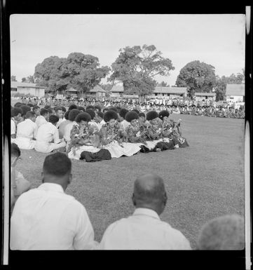 Ceremonial dancers performing, Nandi, Fiji