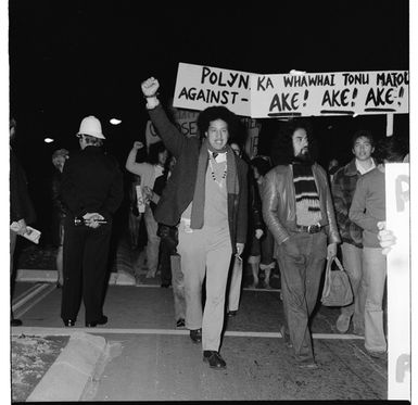 "Stop the Tour 1976" protest in Wellington