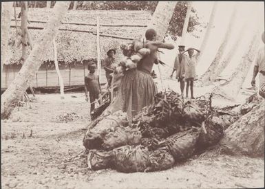 A villager carrying food for the church congress feast, Honggo, Solomon Islands, 1906 / J.W. Beattie