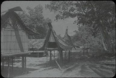 Village houses (5) : Bwalalea village, D'Entrecasteaux Islands, Papua New Guinea, 1956-1958 / Terence and Margaret Spencer