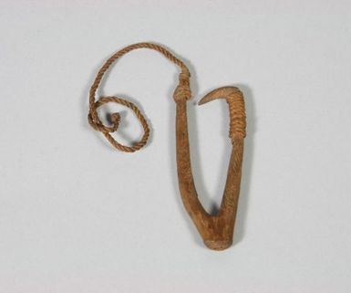 Lou palu (ruvettus hook)