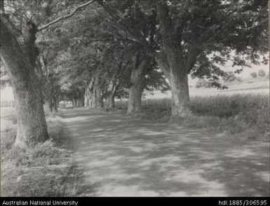 Vehicle travelling on a road