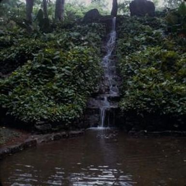 [Landscape of a small waterfall spilling into a pond in Lāwaʻi-kai, United States]