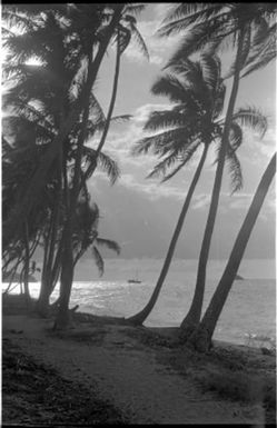 Fieldwork in Fiji