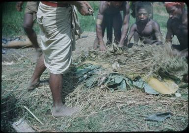 The completed oven : Wahgi Valley, Papua New Guinea, 1954 and 1955 / Terence and Margaret Spencer