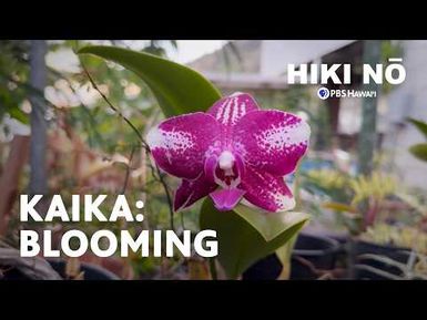 Kaika (Blooming)
