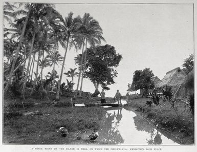 Creek scene on the island of Bega on which the fire walking exhibition took place