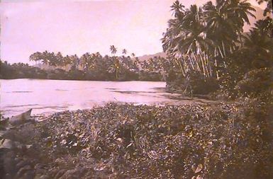 Falifa Lagoon (sic)