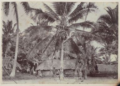 Village scene. From the album: Cook Islands