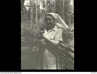 MILNE BAY, PAPUA. C. 1944-02. RAAF NURSING SISTER YOUNG OF NO. 2 MEDICAL CLEARING STATION RAAF WITH HER MASCOT KITTEN "SWIFTY"