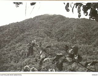 SALAMAUA, NEW GUINEA, 1943-08-09. MOUNT TAMBU, SPARSENESS OF FOLIAGE ON THE TOP SHOWS THE EFFECT OF THE HEAVY SHELLING IN THE AREA