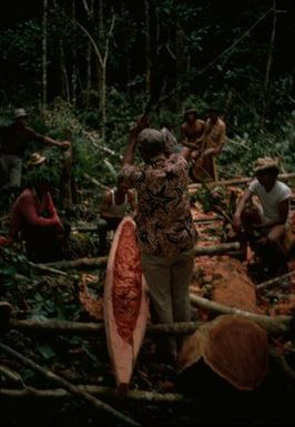 Canoe Making in Niue