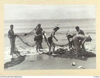 SALAMAUA, NEW GUINEA. 1944-06-02. MEMBERS OF THE 2ND MARINE FOOD SUPPLY CLEANING FISH AT SALUS LAKE FROM A NET DRAGGED ONTO THE BEACH. IDENTIFIED PERSONNEL ARE:- NX109089 LIEUTENANT J.S. CARROLL, ..