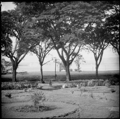 View across Chinnery's front yard, Malaguna Road, Rabaul, New Guinea, ca. 1936 / Sarah Chinnery