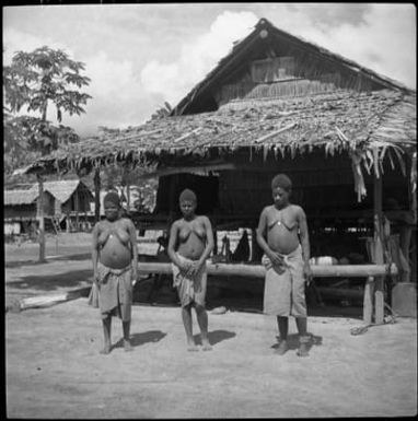 Bougainville Island