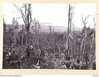 WEWAK AREA, NEW GUINEA, 1945-06-17. MEMBERS OF B COMPANY, 2/8 INFANTRY BATTALION, VIEW THE COAST FROM NEWLY CAPTURED POSITIONS ON HILL 2. IT SHOWS THE EXCELLENT COMMAND THAT THE JAPANESE HAD OF ..