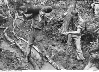 MALIN, NEW GUINEA. 1945-01-25. TX9141 LANCE CORPORAL L.J. HAIGH (1) AND VX2982 LANCE CORPORAL W.T. HAYDON (2) 2/8TH INFANTRY BATTALION USING SHORT LOGS TO REPAIR A BAD PATCH OF JUNGLE TRAIL NEAR ..