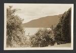 View of lake and mountain, New Zealand?