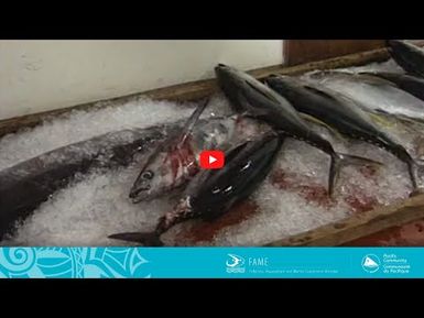 COASTAL FISHERIES TRAINING | 2.2 - Airfreighting chilled fish