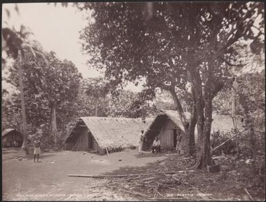 Men and boys in Mota village, Banks Islands, 1906 / J.W. Beattie